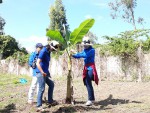 Đoàn Thanh niên tham gia trồng cây xanh và làm cỏ tại NM XLNT Cái Sâu